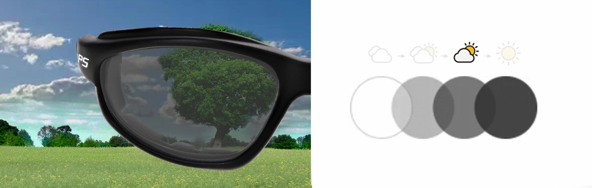 Transition Safety Glasses 901 Phillips Safety