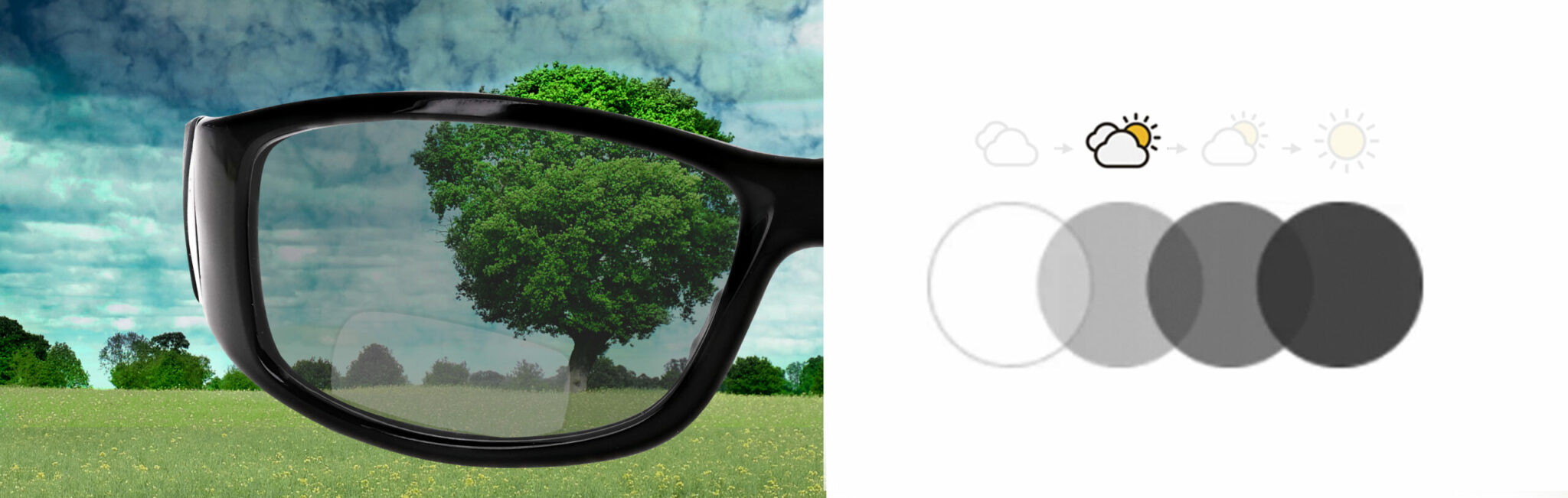 Transition Bifocal Safety Glasses 808 Phillips Safety