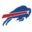 oakley-nfl-buffalo-bills-swatch